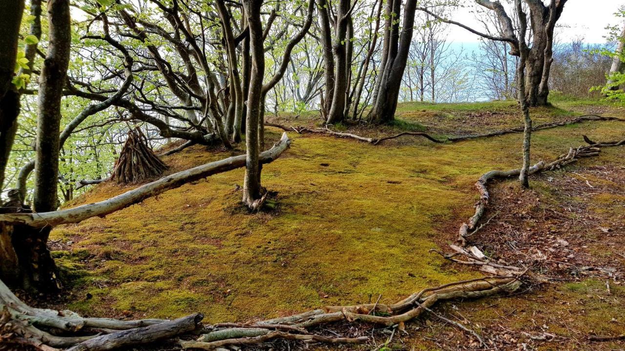Lesna Ostoja Poddabie Villa Buitenkant foto