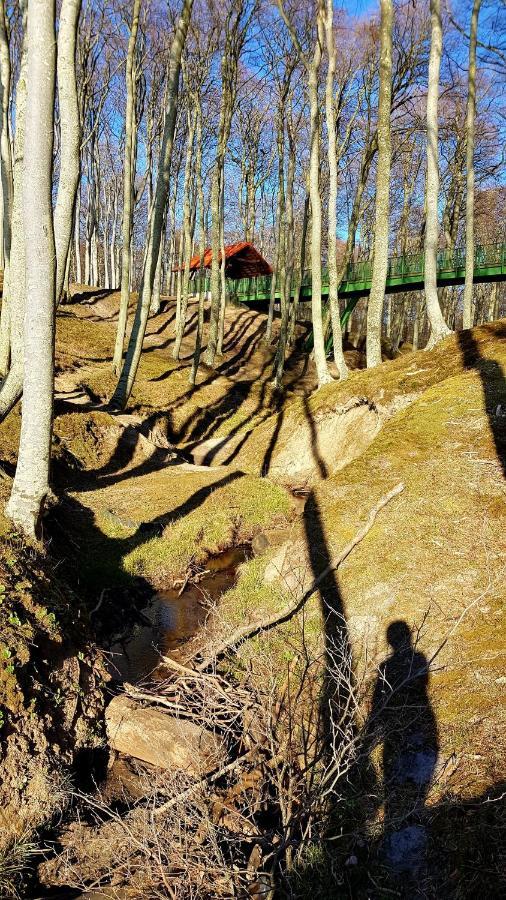 Lesna Ostoja Poddabie Villa Buitenkant foto